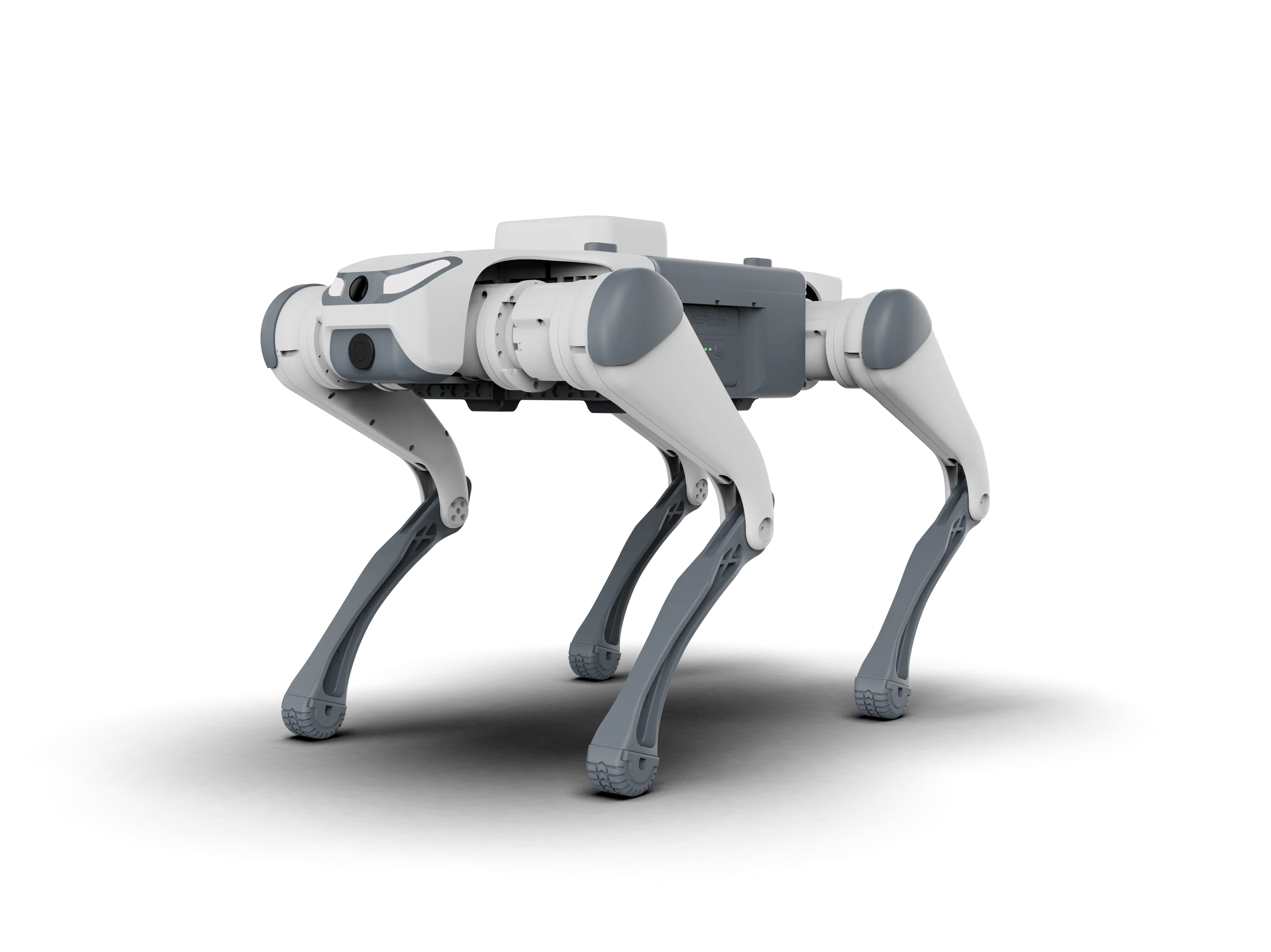 Quadruped robot SID1/Lite3 | 12 dof